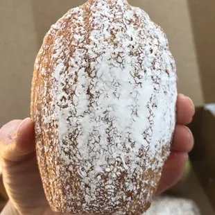Madeleine
