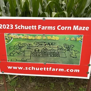 The maze changes every year!