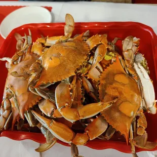 Dozen crab for $40