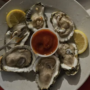 1/2 dozen Raw Oysters