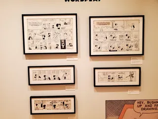 Billy Ireland Cartoon Library And Museum