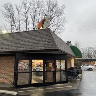a dog on the roof of a restaurant