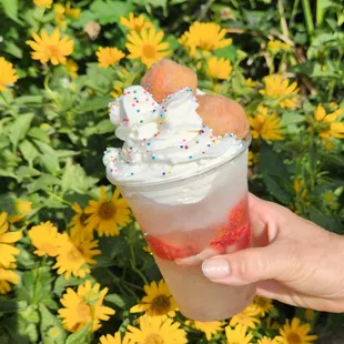 Summer Supreme Slushie