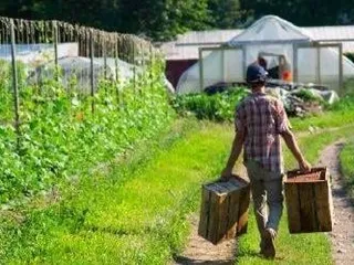 Our Harvest Cooperative