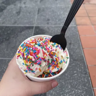 Vanilla ice cream with sprinkles