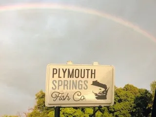 Plymouth Springs Fish