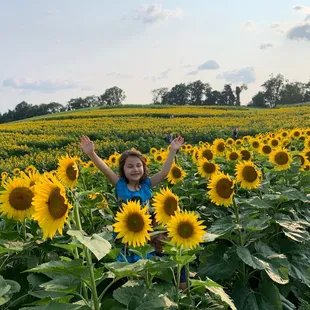 My daughter enjoying the sunflowers!
