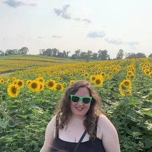 They are my favorite flower