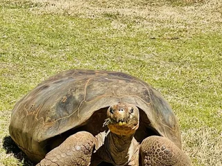 Oklahoma City Zoo