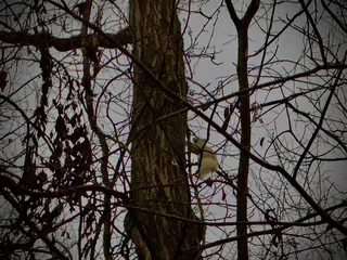 Battelle Darby Creek Metro Park