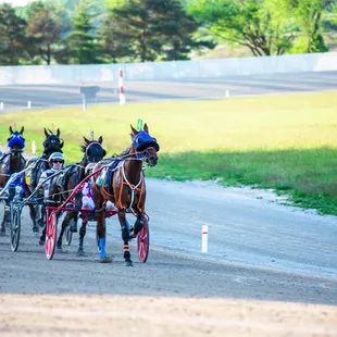Horseman and Racing Image