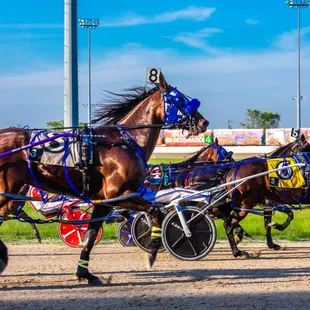 Horseman and Racing Image