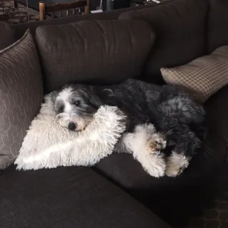 M B.
