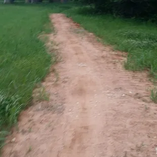 View of the easy trail