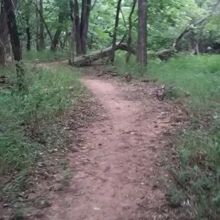 Just a little over half mile