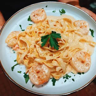 Shrimp Alfredo