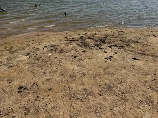 Central State Park at Lake Arcadia