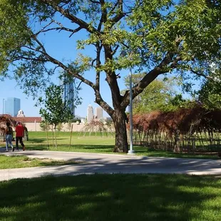 Tunnels and dome playground made of branches and vine
