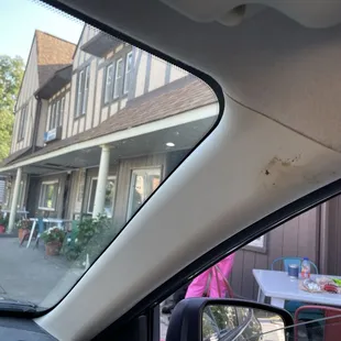 Takeout for an outdoor concert at Lurman! Side view on Dutton at Edmondson.. Scittino's pizza! Hot Josephine chicken, Mozzarella, Basil!