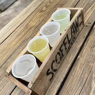 Seltzer flight