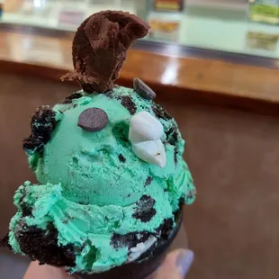 Chocolate Mint with a Suprise!