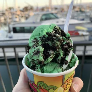 Mint Cookie