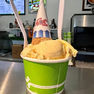 Medium - Banana Caramel Chocolate Chip &amp; Hawaii Sea Salt Caramel