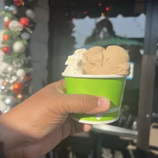 Mocha ice cream and white chocolate chip ice cream.