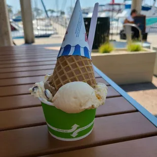 Rum Raisin