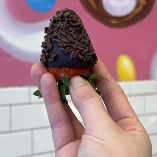 Chocolate Covered Strawberries