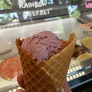 Wild blackberry in a waffle cone