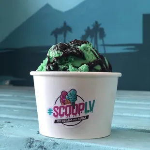 Grasshopper pie ice cream. ( Mint,chocolate chip,Oreo and fudge)