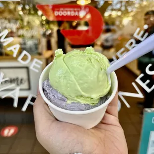 Avocado ice cream (top) and Ube ice cream (bottom)
