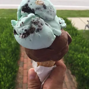 Cookie Monster and chocolate sorbet cone was amazing