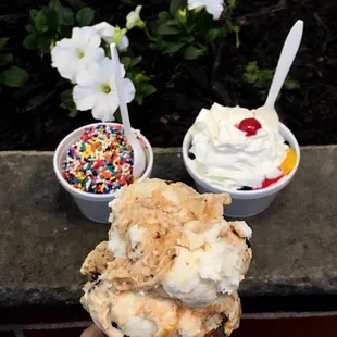 &apos;Worm In Dirt&apos; sundae, peanut-butter fudge sundae, salted caramel in pretzel cone. They now have homemade dairy-free flavors!