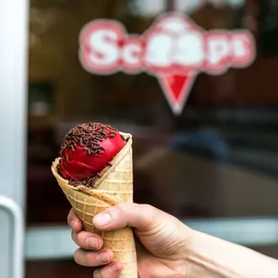 Raspberry sorbet with chocolate sprinkles!!!