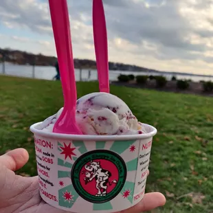 Blueberry cheesecake