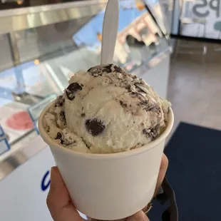 a hand holding a cup of ice cream