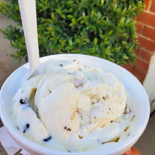 Cannoli flavored ice cream (chocolate chips and cannoli bits are in it)