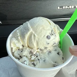 Chocolate chip ice cream