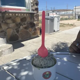 "Mint Chocolate chip"