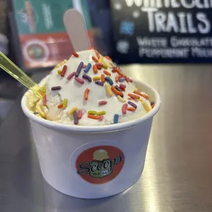 Vanilla ice cream with sprinkles