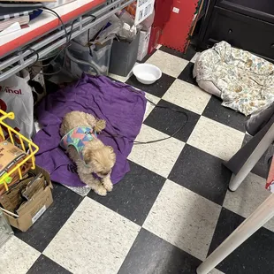 This is in the actual lobby