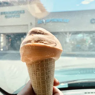 Scooptacular