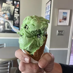 Mint, chocolate chip, ice cream, waffle cone