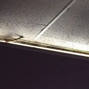 Spring cleaning can't come soon enough.