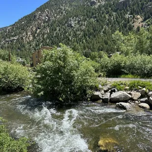 The view from our dining table