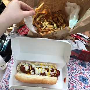 food, sandwich, hot dogs, hot dog
