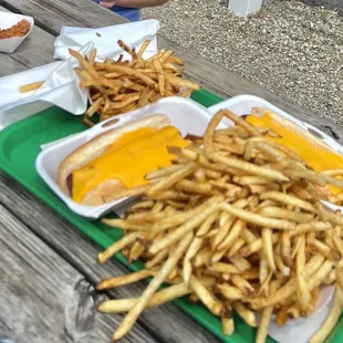 Cheese dogs