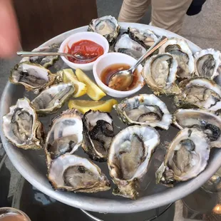 Oysters!